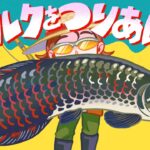 ピラルクのもけいが欲しいので3匹釣れるまで耐久🎣【あつ森配信】