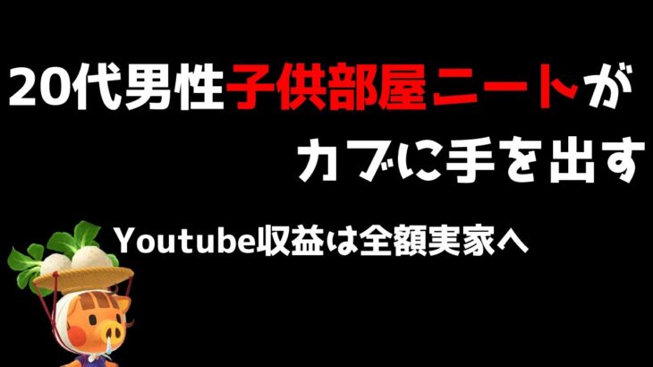 【あつ森】30日後に和風島を完成させる子供部屋ニートの20代男性 あと29日