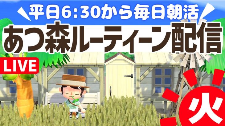 【あつ森】3連休明け頑張るぞ！６時半から毎朝朝活ルーティーン配信🌳挨拶だけでも大歓迎！｜あつまれどうぶつの森｜acnh