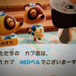 あつ森カブ460チャンネル登録で無料