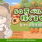 【あつ森】 50万ベル稼ごう 💰｜島クリ資金調達配信 【耐久配信】