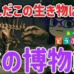 【あつ森】巷で噂の博物館が完成！！！【初心者実況】#6