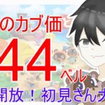 【あつ森】カブ価644,639ベルを無償開放。往復OK！カブ活しましょう！【カブ活】【ライブ配信】