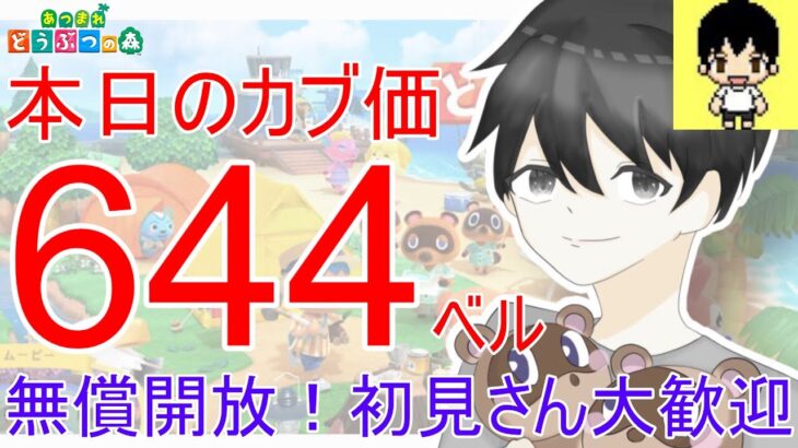 【あつ森】カブ価644,639ベルを無償開放。往復OK！カブ活しましょう！【カブ活】【ライブ配信】