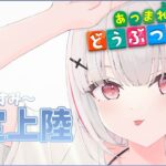 【あつまれどうぶつの森】夏休み7月の一週目はこれ！【空澄セナ/ぶいすぽっ！】