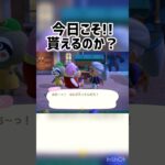 【あつ森】念願の写真はGET出来るのか!?!? #ゲーム配信 #ゲーム実況 #ゲーム #あつ森 #あつまれどうぶつの森 #short #shorts #shortvideo #ともちんのゲーム部屋