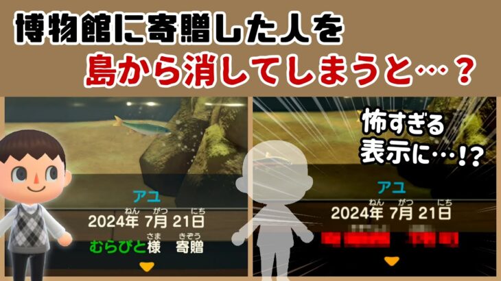 【あつ森】博物館に寄贈した人を島から消してしまうと…怖すぎる表示が…！？意外と知らない「博物館」に隠れた細かすぎる小ネタ集！【あつまれ どうぶつの森】@レウンGameTV