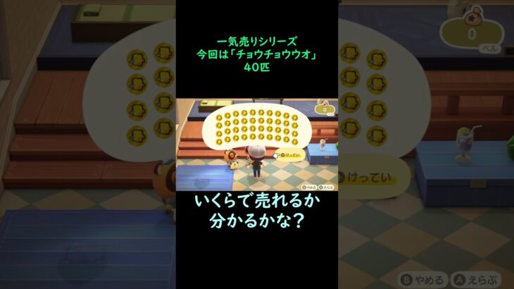 【あつ森】　一気売り シリーズ  Part136 今回は 【チョウチョウウオ】 40匹 いくらか分かるかい？