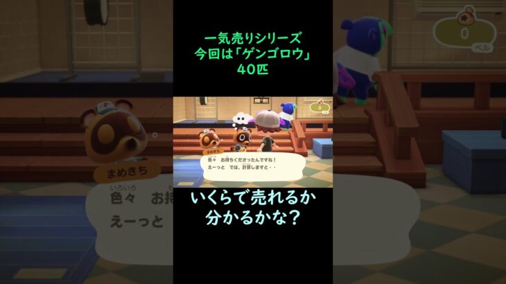 【あつ森】　一気売り シリーズ  Part142 今回は 【ゲンゴロウ】 40匹 いくらか分かるかい？