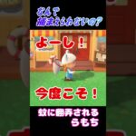 蚊に翻弄されるらもち【あつ森】#Shorts #あつ森 #あつまれどうぶつの森 #ゲーム実況