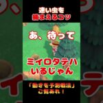 速い虫を捕まえるコツ！？【あつ森】#Shorts #あつ森 #あつまれどうぶつの森 #ゲーム実況