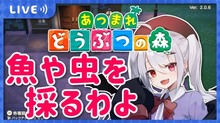 【あつ森】夜だ！サメだ！虫取りだー！ローン返すぞ！【十織 Vtuber あつまれどうぶつの森】#あつ森 #深夜配信 #vtuber