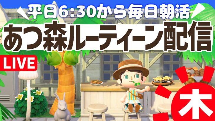 【あつ森】平日６時半から毎朝朝活ルーティーン配信🌳挨拶だけでも大歓迎！｜あつまれどうぶつの森｜acnh