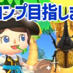 【あつ森】あと１つで図鑑コンプ！ヘラクレスオオカブトを探して虫取りツアー🏝️あつまれどうぶつの森｜acnh