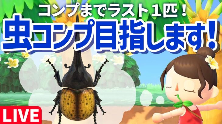 【あつ森】そろそろ姿を見せてくれ！！ヘラクレスオオカブトを探して虫取りツアー🏝️あつまれどうぶつの森｜acnh