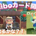 【あつ森】amiiboカード10パック開封配信！推し♡出るかな？！【新人Vtuber】＃あつまれどうぶつの森