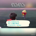 今日のラコスケの言葉#animal #animalclossing #animalcrossing ^_^#あつ森 #あつまれ動物の森 #vlog #shorts