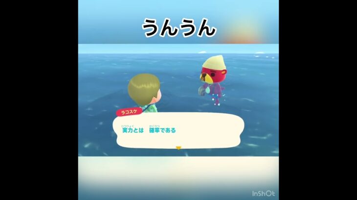 今日のラコスケの言葉　#animal #animalclossing #animalcrossing #あつ森 #あつまれどうぶつの森 #vlog #shorts