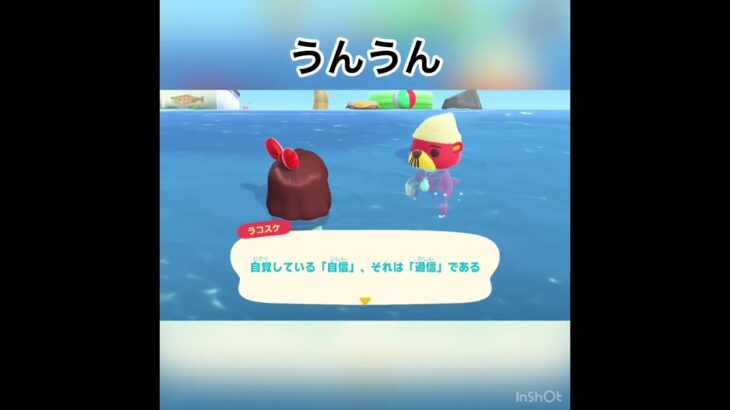 今日のラコスケの言葉　#animal #animalclossing #animalcrossing #あつ森 #vlog #shorts