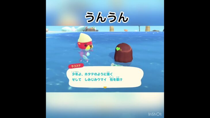 今日のラコスケの言葉　#animal #animalclossing #animalcrossing #あつ森 #あつまれどうぶつの森 #vlog #shorts