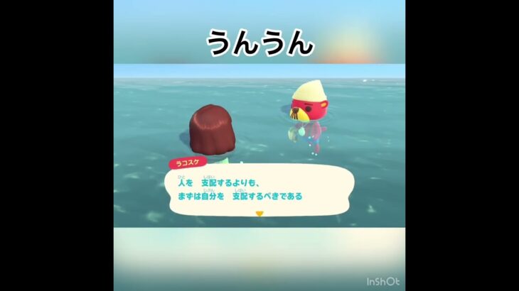 今日のラコスケの言葉　#animal #animalclossing #animalcrossing #あつ森 #あつまれどうぶつの森 #vlog #shorts