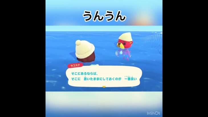 今日のラコスケの言葉　#animal #animalclossing #animalcrossing #あつ森 #あつまれどうぶつの森 #vlog #shorts