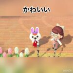 こんぺい島アイドルペチカちゃん　#animal #animalcrossing #animalclossing #あつ森 #あつまれどうぶつの森 #vlog #shorts