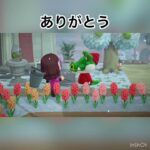 ホウサクからのプレゼント🎁　#animal #animalcrossing #animalclossing #あつ森 #vlog #shorts