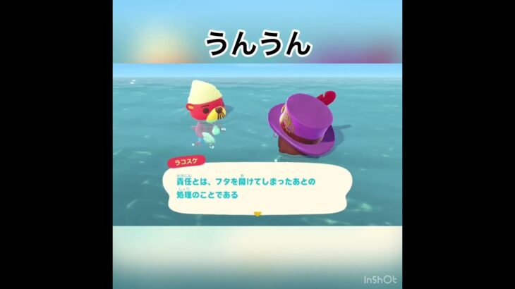 今日のラコスケの言葉　#animal #animalcrossing #animalclossing #あつ森 #vlog #shorts