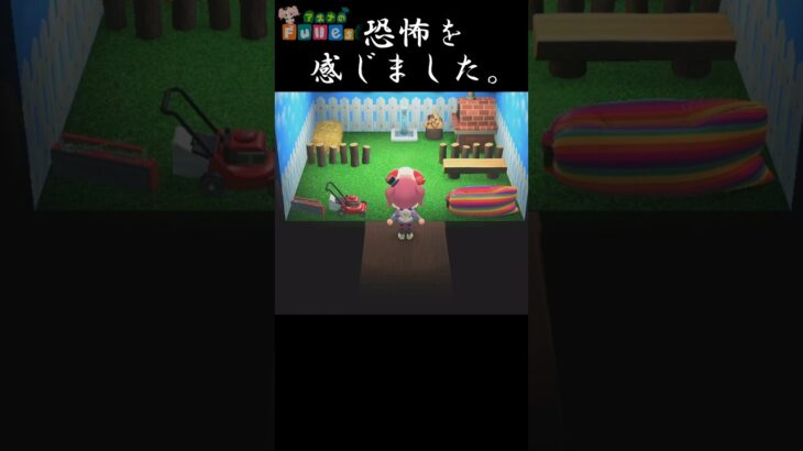 【あつ森】助けて、ちゃちゃまるが怖いの。 #あつまれどうぶつの森 #ゲーム #nintendoswitch #ACNH #Animal Crossing #shorts #ちゃちゃまる  #ホラー