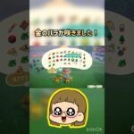 【あつ森】金バラ🌹咲きました👍#ゲーム実況 #ゲーム配信 #ゲーム実況者 #あつ森 #あつまれどうぶつの森 #short #shorts #shortfeed #shortvideo