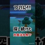 【あつ森】ピラニア🐟を釣りたいんだ!!#ゲーム実況 #ゲーム配信 #ゲーム #あつ森 #あつまれどうぶつの森 #short #shorts #shortvideo #ともちんのゲーム部屋