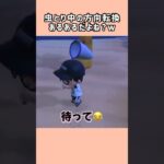 【あつ森】虫とり中の方向転換はあるあるよね？【あつまれどうぶつの森】#shorts #あつ森