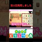 【あつ森】家って燃えるの、、？ #shorts #あつ森 #検証 #ゲーム実況