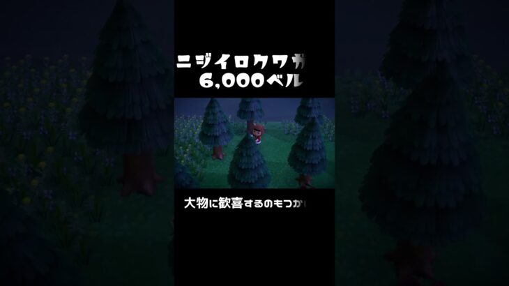 【あつ森】夏の虫取りを最大限に楽しむために心得ておきたいこと💰💰【あつ森　ベル稼ぎ】#shorts  ＃あつ森