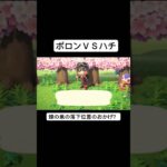 【あつ森】ハチを捕まえたい男に奇跡が…【あつまれどうぶつの森】#shorts #ゲーム実況 #あつ森