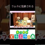 【あつ森】監禁されてしまいました、、 #shorts #あつ森 #検証 #ゲーム実況