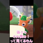 落し物の持ち主を探せ【あつまれどうぶつの森】#あつ森 #ゲーム実況 #shorts