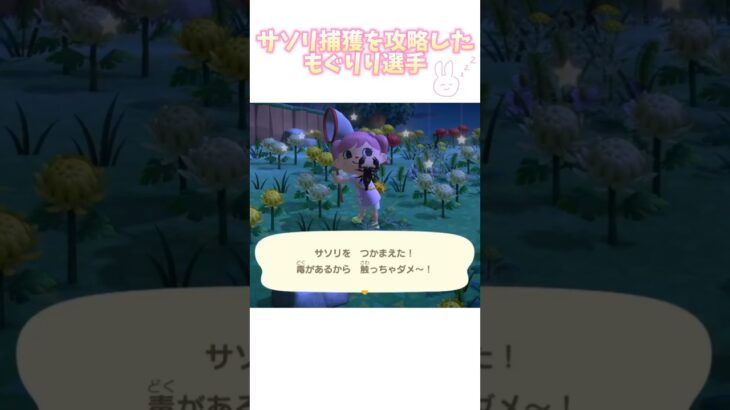 【あつ森】みんなどうやってサソリ捕まえてんの？ #あつ森 #あつまれどうぶつの森 #ゲーム配信 #もぐりり#shortvideo #short #shorts