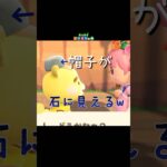 奇跡的に帽子が石(？)#あつ森 #どうぶつの森 #あつまれどうぶつの森 #shortvideo #shorts #short