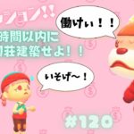 【＃あつ森】緊急ミッション！！３時間で１０件の別荘をつくれ配信！あつまれどうぶつの森配信！みんなに癒しをお届け♡　＃１２０