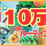 【あつ森】毎日できる簡単なベル稼ぎまとめ！カブや時間操作なしで初心者でもできるお金稼ぎルーティン