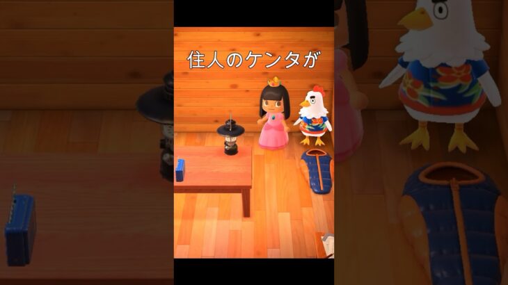 ケンタからのプレゼントの中身とは、、#あつ森 #どう森 #ゲーム実況