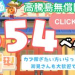 カブ価６５４ベル 島開放中！ あつまれどうぶつの森