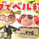 【あつ森】カブでベル稼ぎ借金返済ライブ｜ちゃちゃまると作る島づくり【生配信】