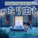 【あつ森】眠れない方おいで！夜中にまったり虫採りするよ！【あつまれ どうぶつの森】