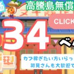 カブ価６３４ベル 島開放中！ あつまれどうぶつの森