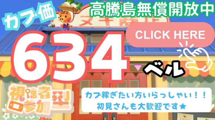 カブ価６３４ベル 島開放中！ あつまれどうぶつの森