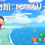 【生放送】あつまれどうぶつの森「博物館コンプリート」目指す配信〜さかな編〜