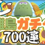 【あつ森】離島ガチャ｜ラムール探し｜ライブ【あつまれどうぶつの森】